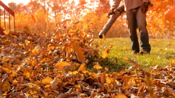 can you use a leaf blower with eusphatian tube dysfunction