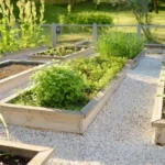 How to Get Started with Your Vegetable Patch